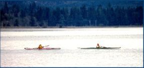 Kayaking on the Palix River