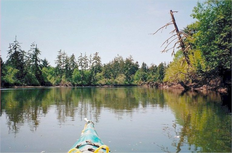 Steamboat Slough