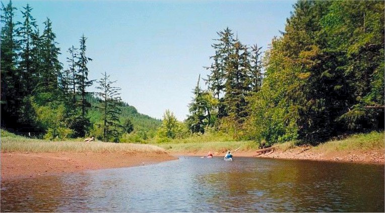 Entering Jim Crow Creek
