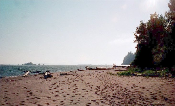 Looking west from the beach at Jim Crow Point